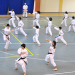 karate7