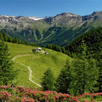 valdisole